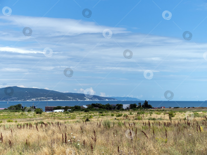 Скачать Дикий пляж на побережье поселка Кабардинка, Россия, со скалами, деревьями и большими кораблями на заднем плане, демонстрирующими прибрежный ландшафт и морские пейзажи фотосток Ozero