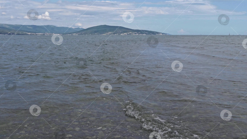 Скачать Панорамный вид на море со скалистого склона холма с соснами под ясным голубым летним небом фотосток Ozero