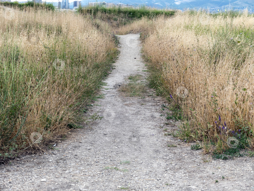 Скачать Поле с зеленой травой и небольшой тропинкой, с виднеющимися на горизонте высотными зданиями, сочетающими в себе природный ландшафт и городскую застройку фотосток Ozero