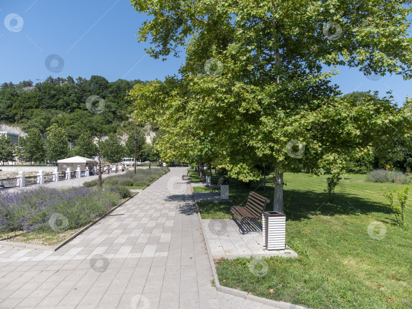 Скачать 19 августа 2025 года прогулка по озеру Абрау-Дюрсо со спокойной водой, зеленью и живописными окрестностями фотосток Ozero