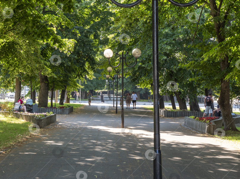 Скачать 15 августа 2025 года Солнечным летним днем в Новороссийске прогуливаюсь по зеленой парковой аллее с деревьями, цветами и тихими дорожками фотосток Ozero