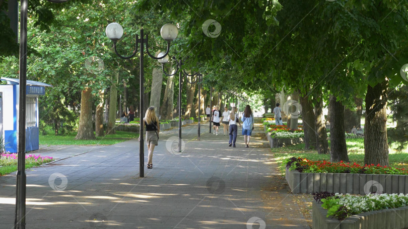 Скачать 15 августа 2025 года Солнечным летним днем в Новороссийске прогуливаюсь по зеленой парковой аллее с деревьями, цветами и тихими дорожками фотосток Ozero