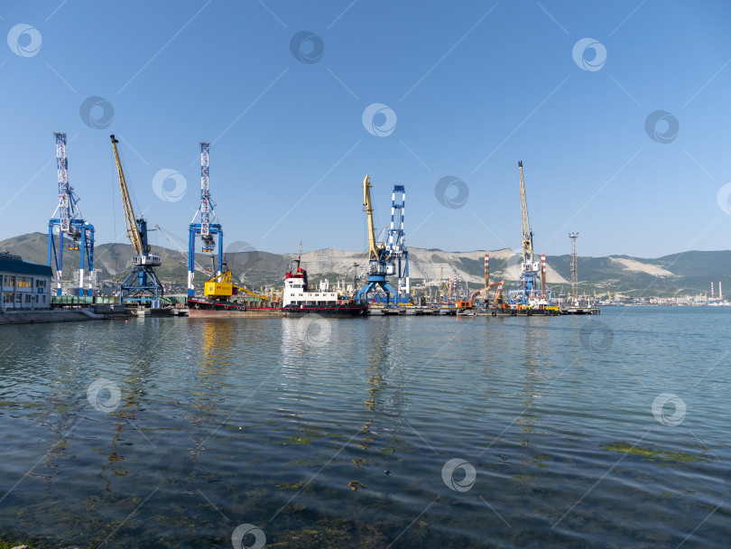 Скачать 22 августа 2025 года, вид порта Новороссийск, Россия, с грузовыми судами и кранами на побережье. Промышленный морской пейзаж на Черном море фотосток Ozero