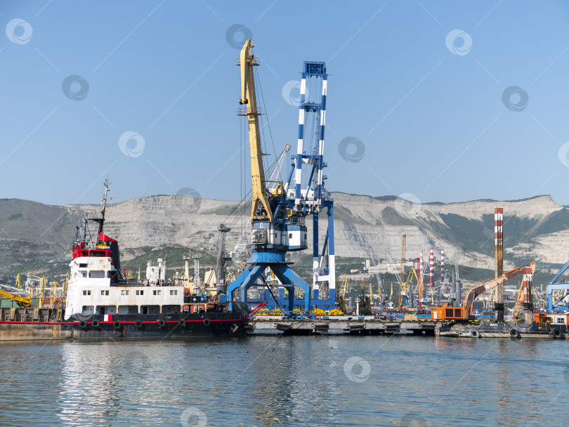 Скачать 22 августа 2025 года, вид порта Новороссийск, Россия, с грузовыми судами и кранами на побережье. Промышленный морской пейзаж на Черном море фотосток Ozero