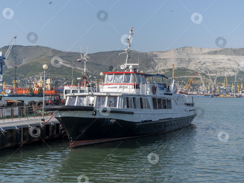 Скачать 12 августа 2025 года: Сухогруз "Владимир Шапурко" пришвартовался в порту Новороссийска, Россия, вокруг судна наблюдается оживление фотосток Ozero