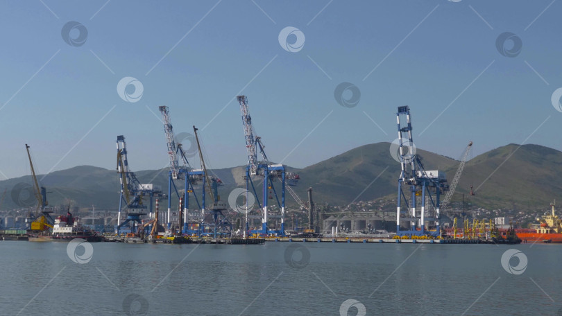 Скачать 22 августа 2025 года, вид порта Новороссийск, Россия, с грузовыми судами и кранами на побережье. Промышленный морской пейзаж на Черном море фотосток Ozero
