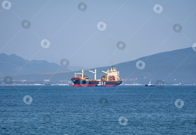 Скачать 12 августа 2025 года: Грузовое судно MSC Pamira III заходит в порт Новороссийск, Россия, двигаясь по спокойным водам на фоне оживленной портовой жизни. фотосток Ozero