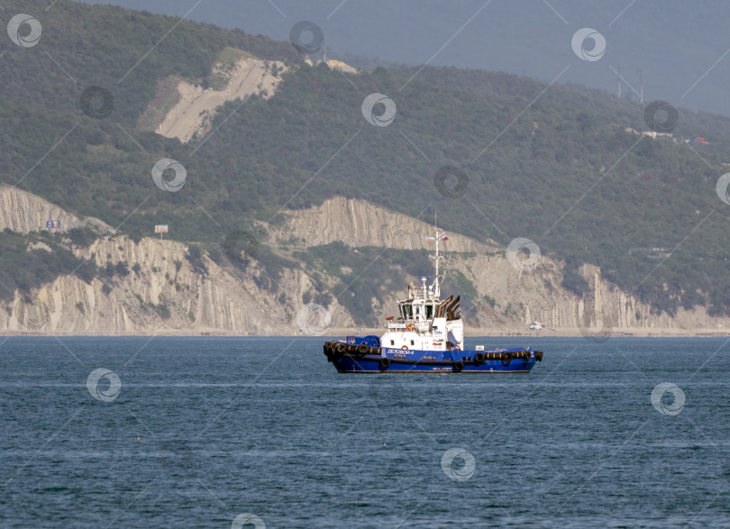 Скачать 12 августа 2025 года: Синее рабочее судно "Деловой-4" пришвартовалось в оживленном порту Новороссийска, Россия, а члены экипажа готовятся к морским операциям фотосток Ozero