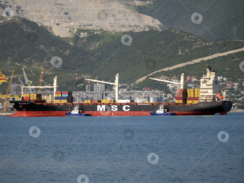 Скачать 12 августа 2025 года: Грузовое судно MSC Pamira III заходит в порт Новороссийск, Россия, двигаясь по спокойным водам на фоне оживленной портовой жизни. фотосток Ozero