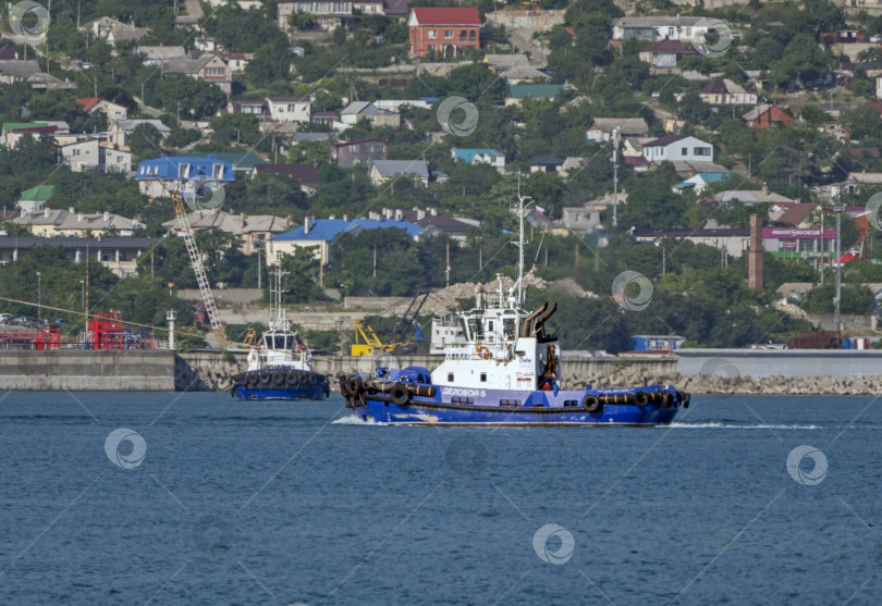 Скачать 12 августа 2025 года: Синее рабочее судно "Деловой-5" пришвартовалось в оживленном порту Новороссийска, Россия, а члены экипажа готовятся к морским операциям фотосток Ozero