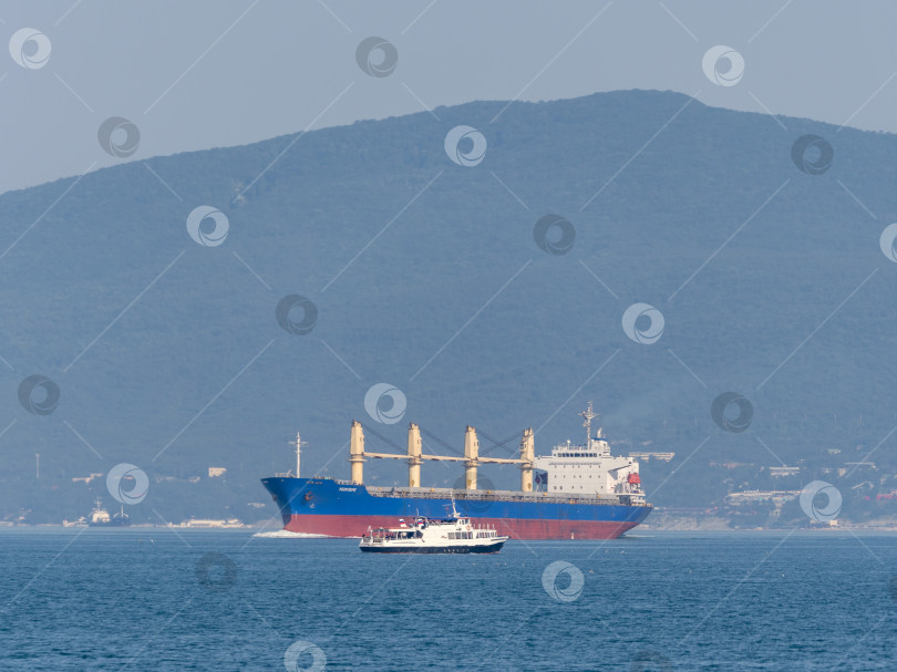 Скачать 12 августа 2025 года: Грузовое судно "Едитепе" заходит в порт Новороссийска, Россия, на фоне гор. фотосток Ozero