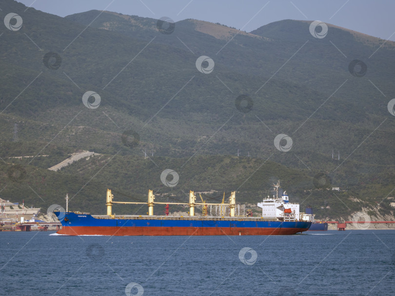 Скачать 12 августа 2025 года: Грузовое судно "Едитепе" заходит в порт Новороссийска, Россия, на фоне гор. фотосток Ozero