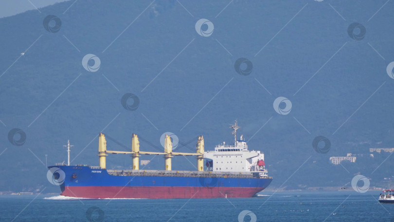 Скачать 24 августа 2025 года: Крупное грузовое судно заходит в порт Новороссийска, Россия, на Черном море, демонстрируя морской транспорт, промышленное судоходство и береговую инфраструктуру. фотосток Ozero