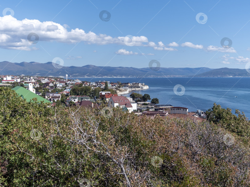 Скачать 12 августа 2025 года Вид сверху с горы Колдун на море и береговую линию в направлении курортного поселка Мысхако близ Новороссийска, Россия, на побережье Черного моря. Прибрежный ландшафт и береговая линия фотосток Ozero