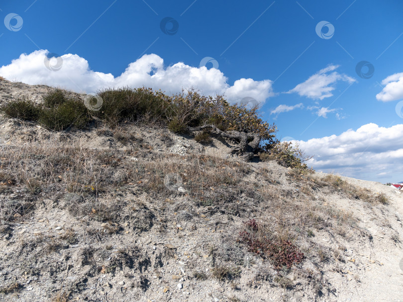 Скачать Скалистое побережье Черного моря с отвесными скалами и ясным небом, естественный морской пейзаж фотосток Ozero