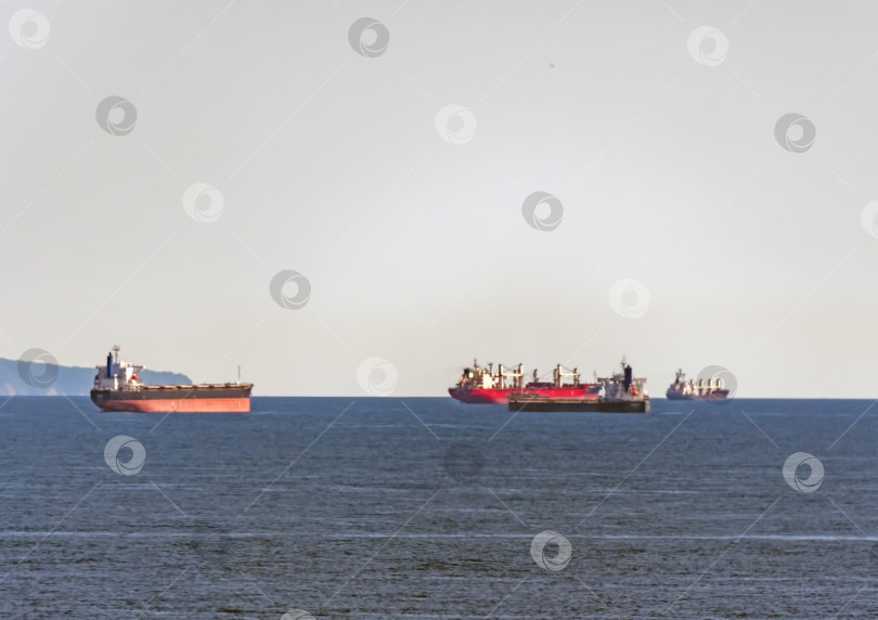 Скачать 22 августа 2025 года Нефтяные танкеры ожидают погрузки в Цемесской бухте близ Новороссийска, Россия, на Черном море. Крупные суда стоят на якоре у берега фотосток Ozero