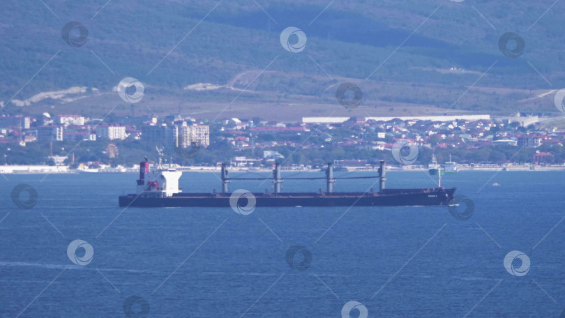 Скачать 24 августа 2025 года: Крупное грузовое судно заходит в порт Новороссийска, Россия, на Черном море, демонстрируя морской транспорт, промышленное судоходство и береговую инфраструктуру. фотосток Ozero