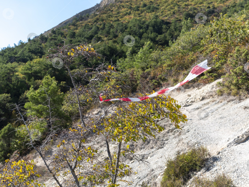 Скачать Красно-белая лента, привязанная к ветке дерева в лесу, обозначает направление пешеходного маршрута или тропы фотосток Ozero