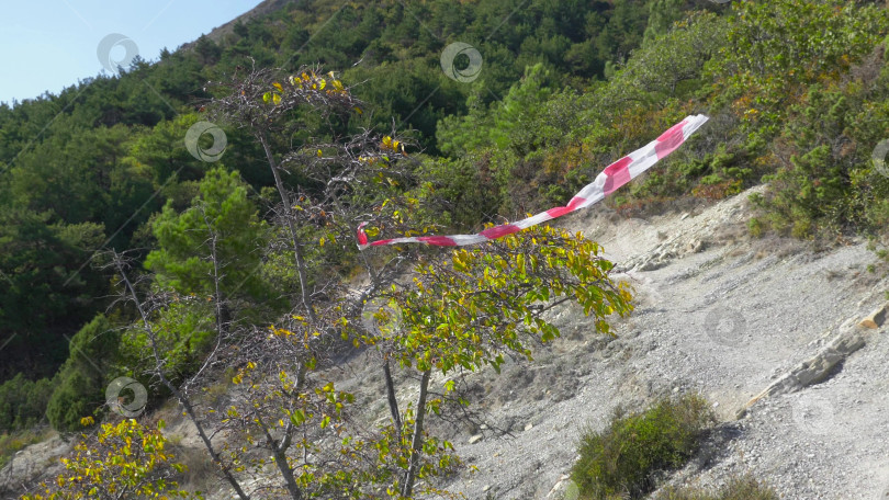 Скачать Красно-белая лента, привязанная к ветке дерева в лесу, обозначает направление пешеходного маршрута или тропы фотосток Ozero