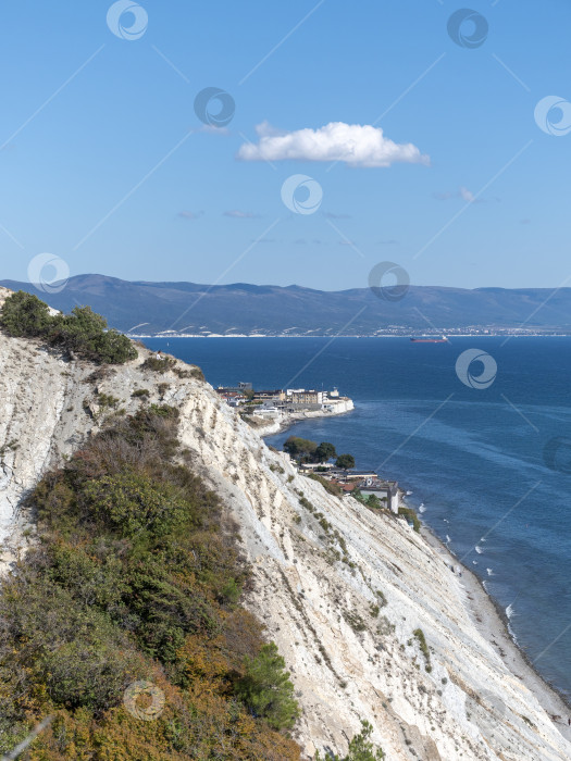 Скачать Панорамный вид на море со скалистого склона холма с соснами под ясным голубым летним небом фотосток Ozero