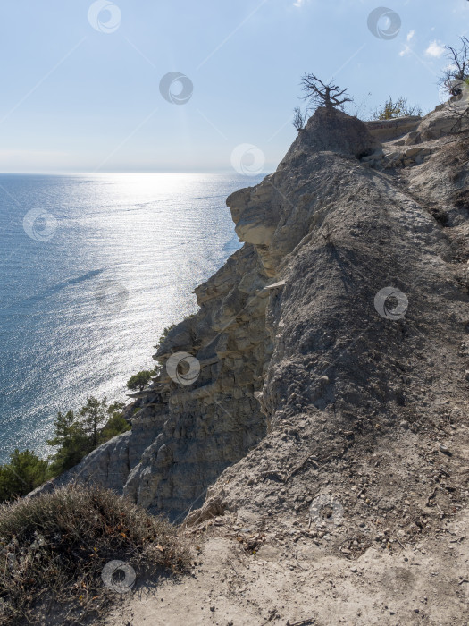 Скачать Панорамный вид на море со скалистого склона холма с соснами под ясным голубым летним небом фотосток Ozero