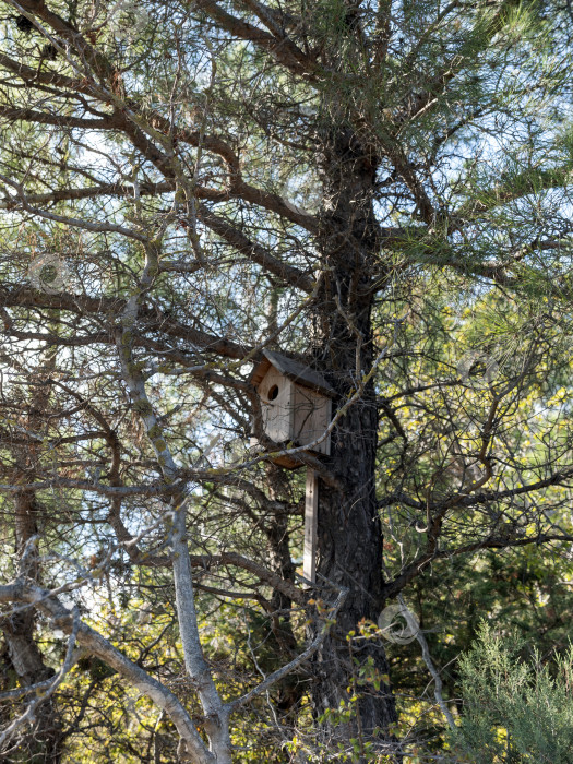 Скачать Панорамный вид на море со скалистого склона холма с соснами под ясным голубым летним небом фотосток Ozero
