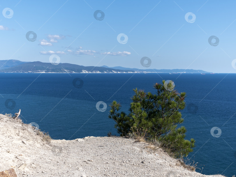 Скачать Панорамный вид на море со скалистого склона холма с соснами под ясным голубым летним небом фотосток Ozero
