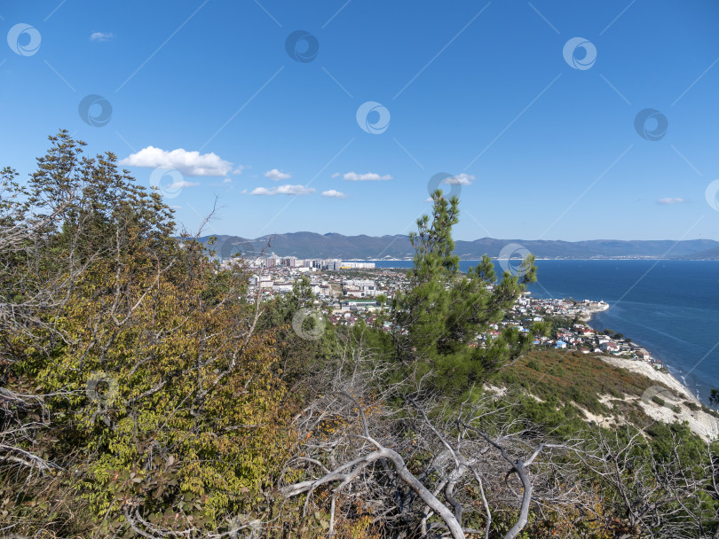 Скачать 12 августа 2025 года Вид сверху с горы Колдун на море и береговую линию в направлении курортного поселка Мысхако близ Новороссийска, Россия, на побережье Черного моря. Прибрежный ландшафт и береговая линия фотосток Ozero