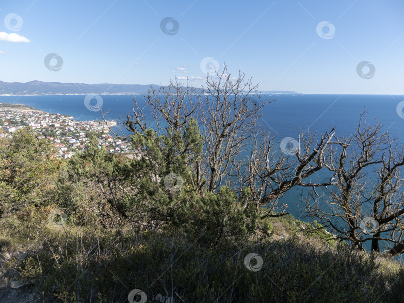 Скачать Вид сверху с горы Колдун на море и береговую линию в направлении курортного поселка Мысхако близ Новороссийска, Россия, на побережье Черного моря. Прибрежный ландшафт и береговая линия фотосток Ozero