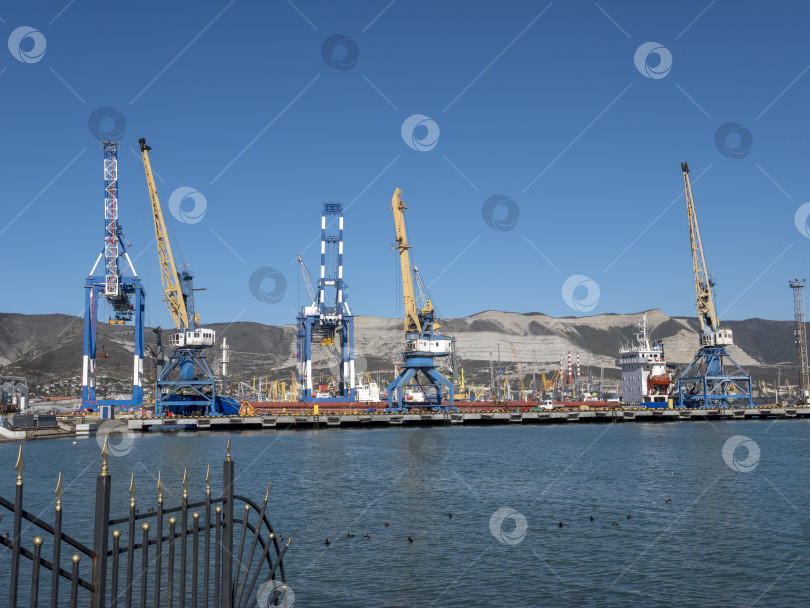 Скачать 22 августа 2025 года, вид порта Новороссийск, Россия, с грузовыми судами и кранами на побережье. Промышленный морской пейзаж на Черном море фотосток Ozero