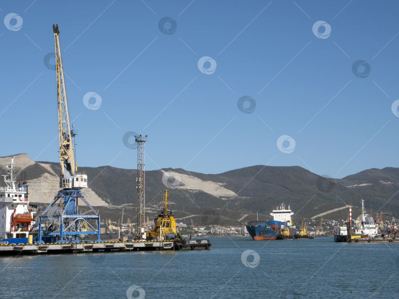 Скачать 22 августа 2025 года, вид порта Новороссийск, Россия, с грузовыми судами и кранами на побережье. Промышленный морской пейзаж на Черном море фотосток Ozero
