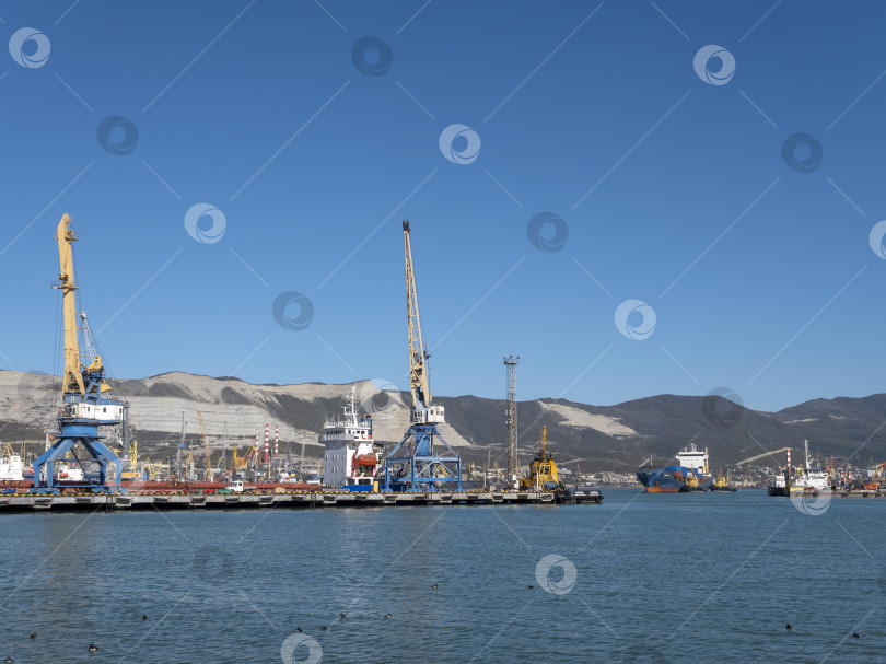 Скачать 22 августа 2025 года, вид порта Новороссийск, Россия, с грузовыми судами и кранами на побережье. Промышленный морской пейзаж на Черном море фотосток Ozero