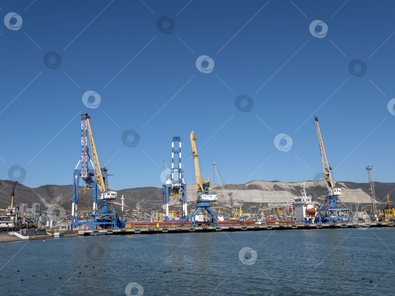 Скачать 22 августа 2025 года, вид порта Новороссийск, Россия, с грузовыми судами и кранами на побережье. Промышленный морской пейзаж на Черном море фотосток Ozero