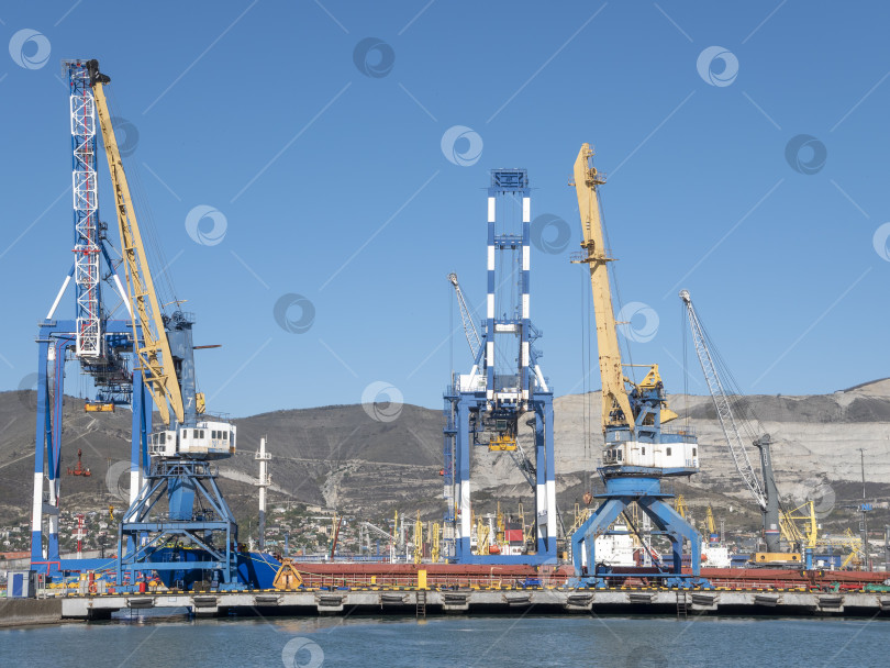 Скачать 22 августа 2025 года, вид порта Новороссийск, Россия, с грузовыми судами и кранами на побережье. Промышленный морской пейзаж на Черном море фотосток Ozero