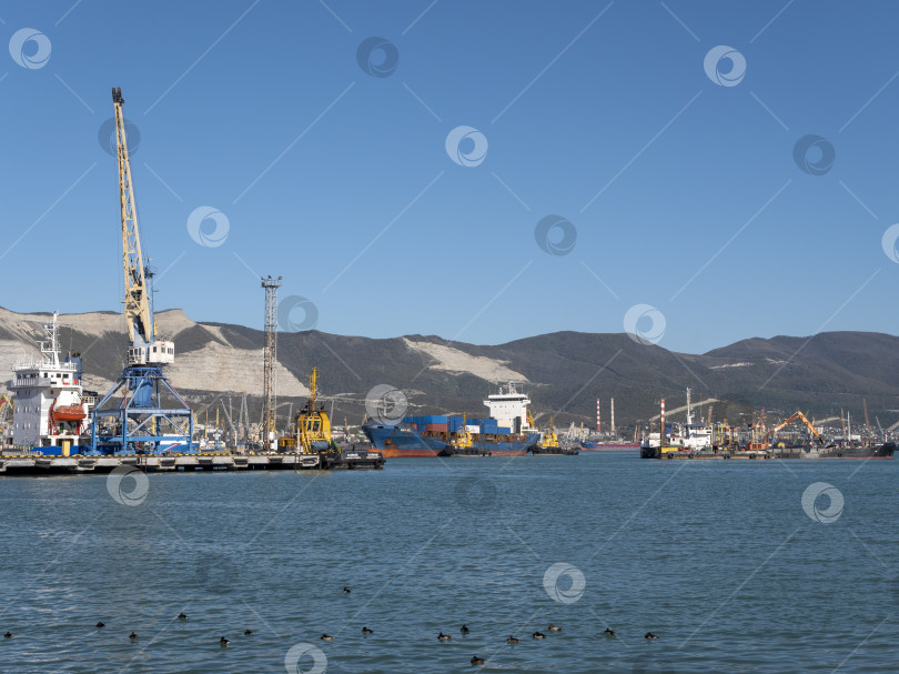 Скачать 22 августа 2025 года, вид порта Новороссийск, Россия, с грузовыми судами и кранами на побережье. Промышленный морской пейзаж на Черном море фотосток Ozero