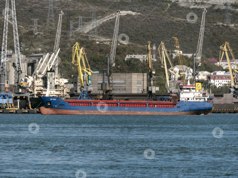 Скачать 22 августа 2025 года грузовое судно NS EVE пришвартовалось в порту Новороссийска, Россия, на побережье Черного моря. Коммерческое судно пришвартовалось недалеко от гавани фотосток Ozero