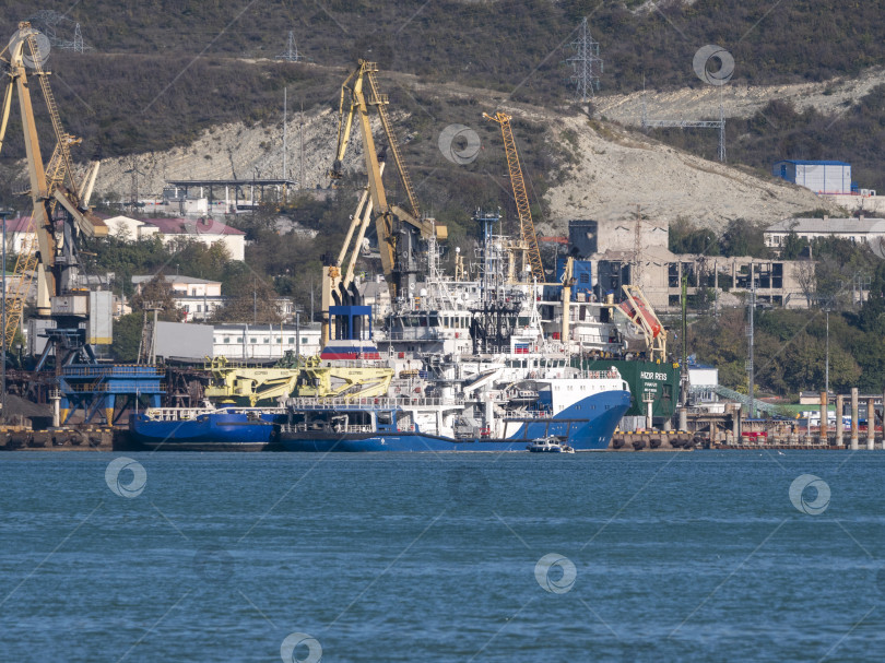 Скачать 22 августа 2025 года, вид порта Новороссийск, Россия, с грузовыми судами и кранами на побережье. Промышленный морской пейзаж на Черном море фотосток Ozero