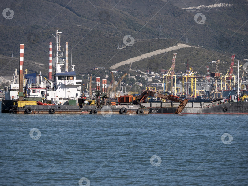 Скачать 22 августа 2025 года, вид порта Новороссийск, Россия, с грузовыми судами и кранами на побережье. Промышленный морской пейзаж на Черном море фотосток Ozero