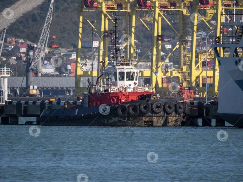 Скачать 22 августа 2025 года, вид порта Новороссийск, Россия, с грузовыми судами и кранами на побережье. Промышленный морской пейзаж на Черном море фотосток Ozero