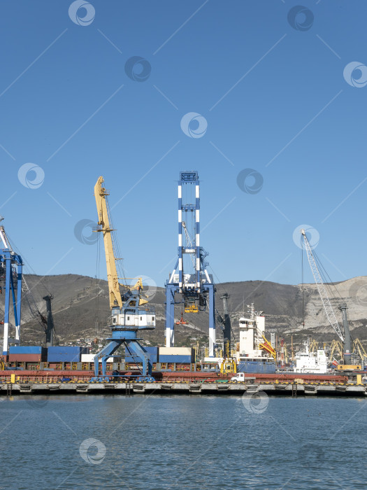 Скачать 22 августа 2025 года, вид порта Новороссийск, Россия, с грузовыми судами и кранами на побережье. Промышленный морской пейзаж на Черном море фотосток Ozero