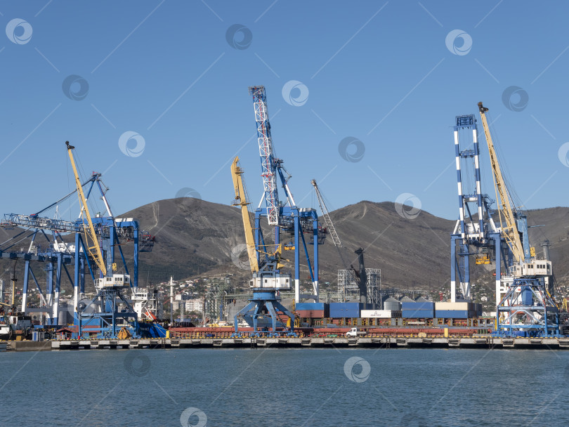 Скачать 22 августа 2025 года, вид порта Новороссийск, Россия, с грузовыми судами и кранами на побережье. Промышленный морской пейзаж на Черном море фотосток Ozero