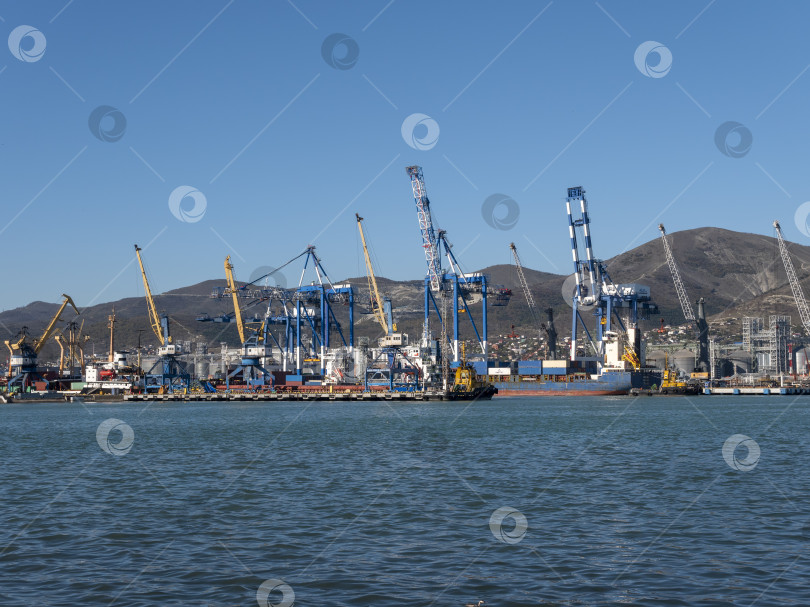 Скачать 22 августа 2025 года, вид порта Новороссийск, Россия, с грузовыми судами и кранами на побережье. Промышленный морской пейзаж на Черном море фотосток Ozero