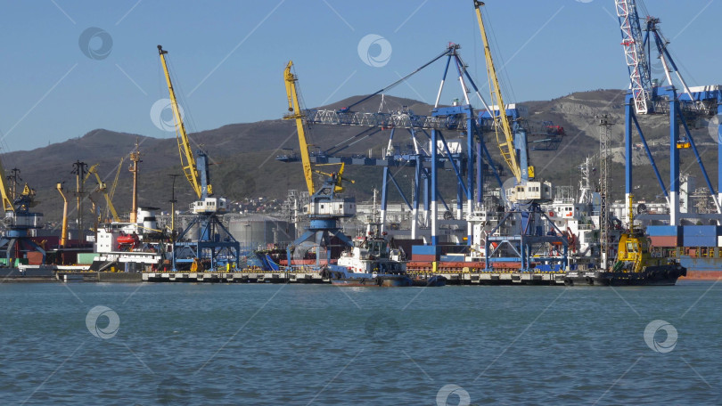 Скачать 22 августа 2025 года, вид порта Новороссийск, Россия, с грузовыми судами и кранами на побережье. Промышленный морской пейзаж на Черном море фотосток Ozero