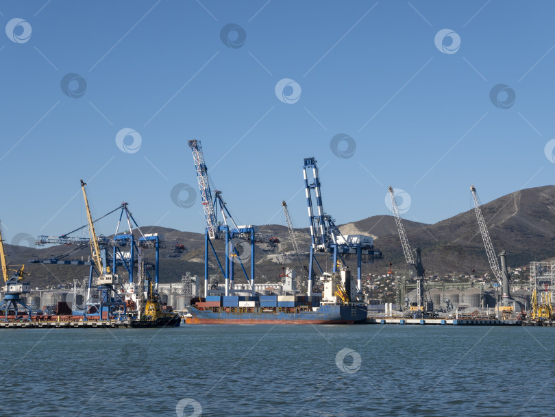 Скачать 22 августа 2025 года, вид порта Новороссийск, Россия, с грузовыми судами и кранами на побережье. Промышленный морской пейзаж на Черном море фотосток Ozero