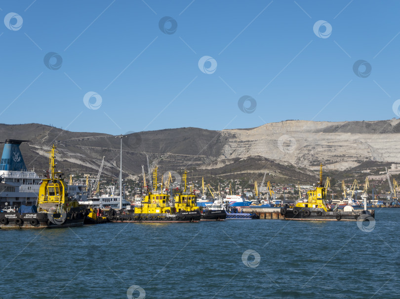 Скачать 22 августа 2025 года, вид порта Новороссийск, Россия, с грузовыми судами и кранами на побережье. Промышленный морской пейзаж на Черном море фотосток Ozero