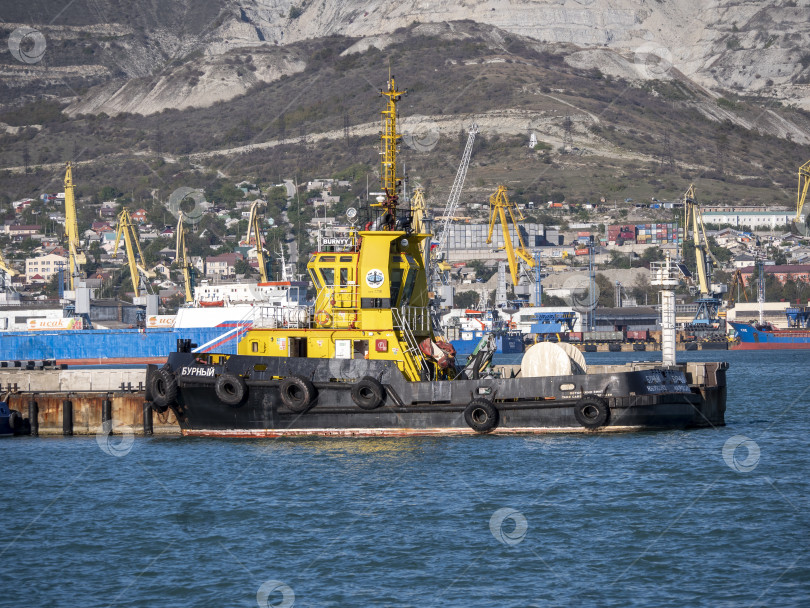 Скачать 22 августа 2025 года, вид порта Новороссийск, Россия, с грузовыми судами и кранами на побережье. Промышленный морской пейзаж на Черном море фотосток Ozero