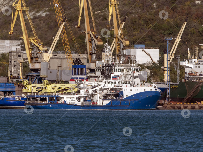 Скачать 22 августа 2025 года, вид порта Новороссийск, Россия, с грузовыми судами и кранами на побережье. Промышленный морской пейзаж на Черном море фотосток Ozero