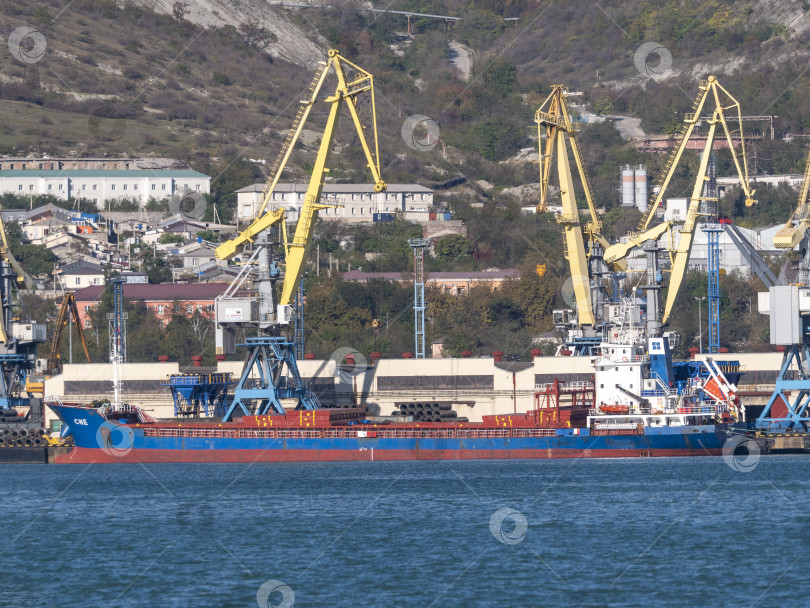 Скачать 22 августа 2025 года, вид порта Новороссийск, Россия, с грузовыми судами и кранами на побережье. Промышленный морской пейзаж на Черном море фотосток Ozero