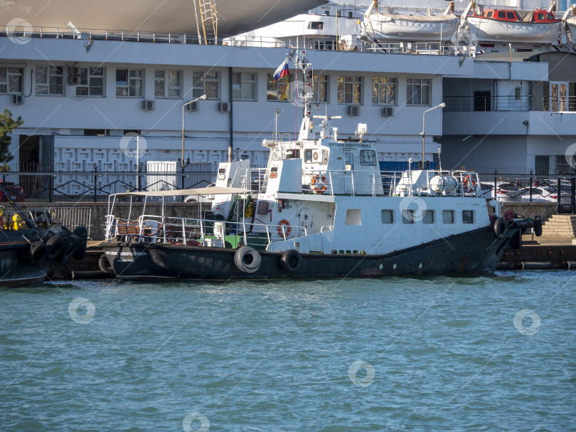 Скачать 22 августа 2025 года, вид порта Новороссийск, Россия, с грузовыми судами и кранами на побережье. Промышленный морской пейзаж на Черном море фотосток Ozero