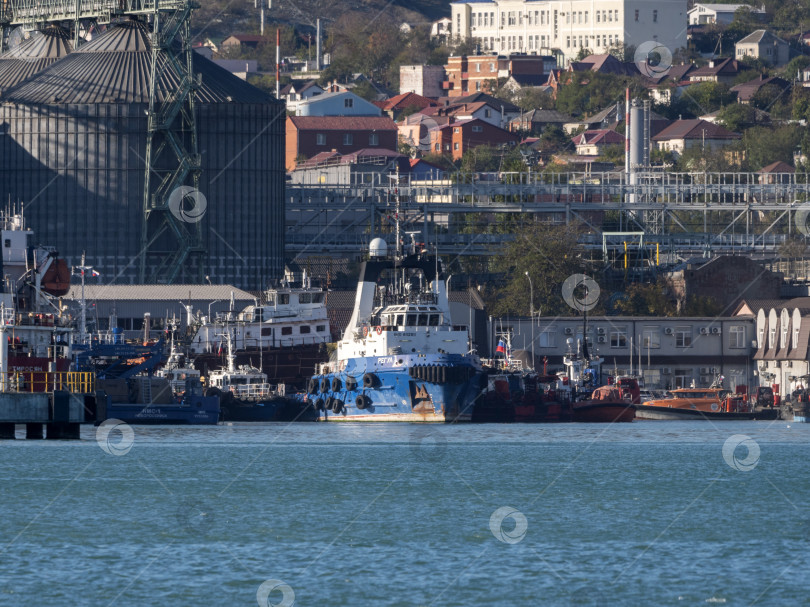 Скачать 22 августа 2025 года, вид порта Новороссийск, Россия, с грузовыми судами и кранами на побережье. Промышленный морской пейзаж на Черном море фотосток Ozero